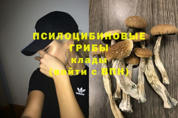МДПВ Надым