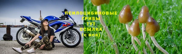 МДПВ Надым
