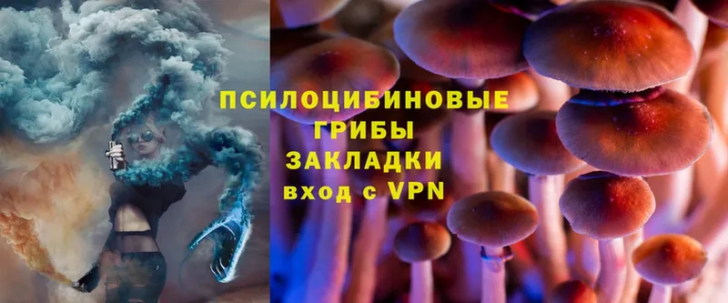 Галлюциногенные грибы MAGIC MUSHROOMS  Оса 