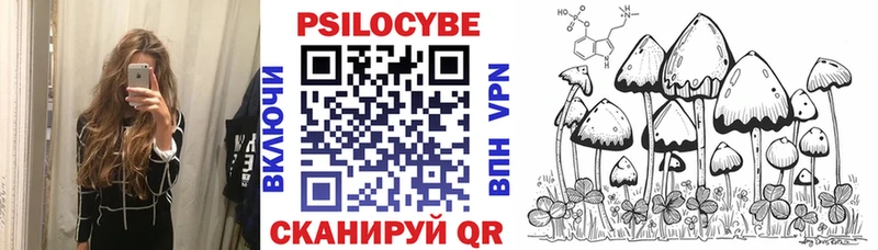 Псилоцибиновые грибы Psilocybine cubensis  наркота  OMG tor  Оса 